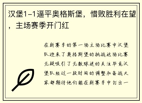 汉堡1-1逼平奥格斯堡，惜败胜利在望，主场赛季开门红