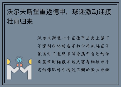 沃尔夫斯堡重返德甲，球迷激动迎接壮丽归来