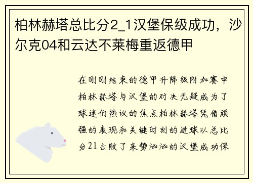 柏林赫塔总比分2_1汉堡保级成功，沙尔克04和云达不莱梅重返德甲
