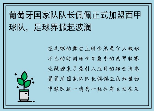 葡萄牙国家队队长佩佩正式加盟西甲球队，足球界掀起波澜