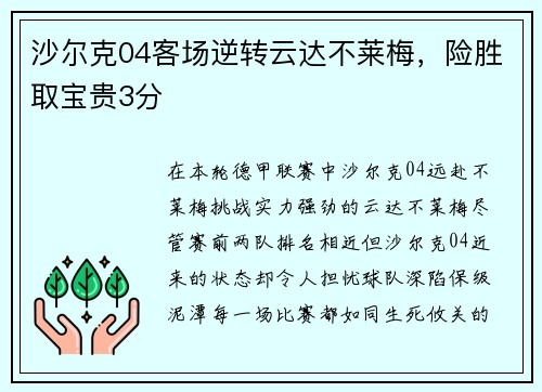 沙尔克04客场逆转云达不莱梅，险胜取宝贵3分
